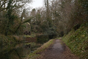 a view of the grand western canal near Tiverton from the tow path