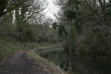 a view of the grand western canal near Tiverton from the tow path