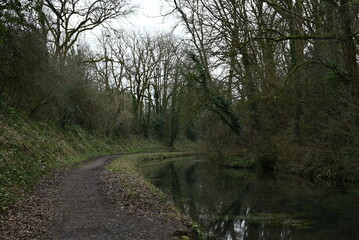 Fototapeta premium a view of the grand western canal near Tiverton from the tow path