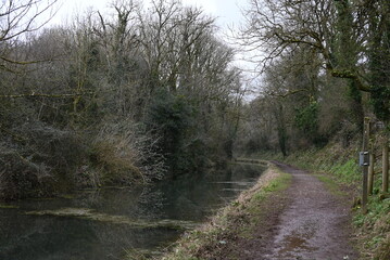 Obraz premium a view of the grand western canal near Tiverton from the tow path