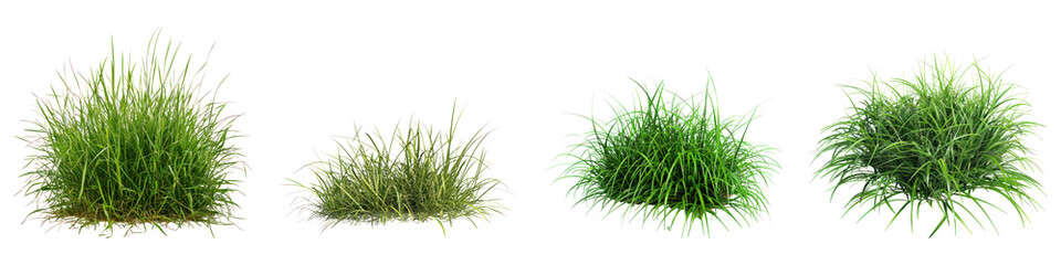 Patch of grass isolated on transparent background ,PNG, set of