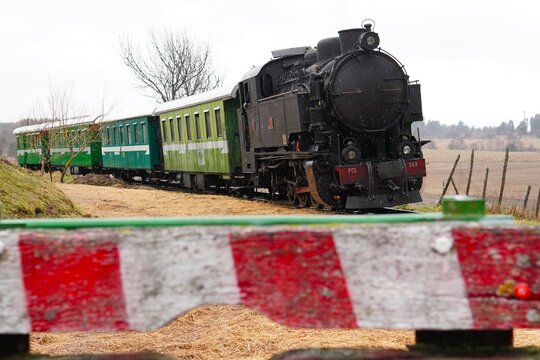 Steam locomotive - steam train Sila. Camigliatello Silano Italy 02.02.2025