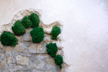 stylish multilayer wall with live moss in the interior. Modernity and fashion