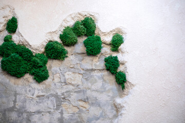 stylish multilayer wall with live moss in the interior. Modernity and fashion