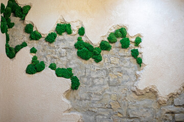 stylish multilayer wall with live moss in the interior. Modernity and fashion