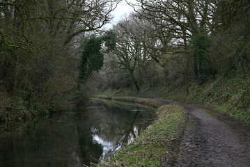 a view of the grand western canal near Tiverton from the tow path