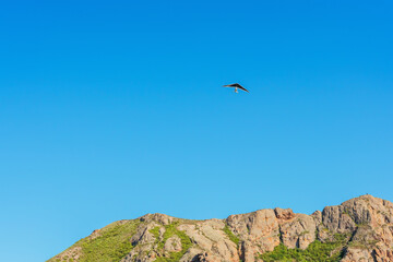 Fototapeta premium Hang glider for riding tourists in the field. Two-seater hang glider flying in the sky