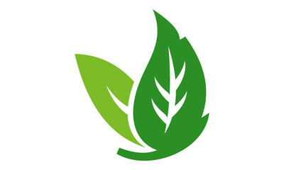 leaf logo vector