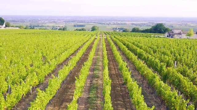 Ch&acirc;teau de Monbazillac
