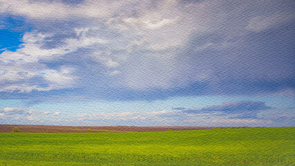 Cloudy sky with a field of green grass