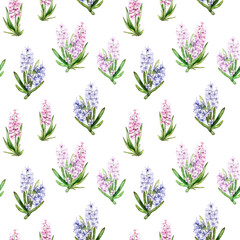 Seamless pattern of spring Hyacinth flowers watercolor illustration on white background. Hand drawn primrose flowers for floral designs in delicate pastel colors.