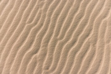 sand texture background