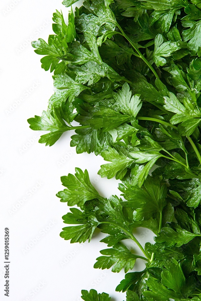 Poster parsley leaves creating a border on a white background with space for text