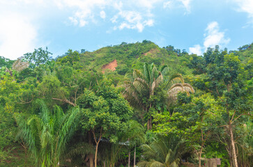 Obraz premium Paysages de la ville de Rurrenabaque dans la forêt amazonienne dans le parc national du Madidi en Bolivie