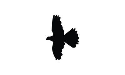 Flying African collared dove bird Silhouette Design  And Vector Illustration. 