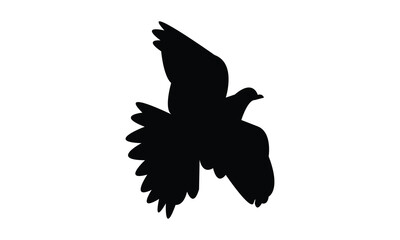 Flying African collared dove bird Silhouette Design  And Vector Illustration. 