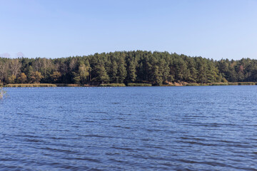 a large number of seagulls on the river in the summer of the year