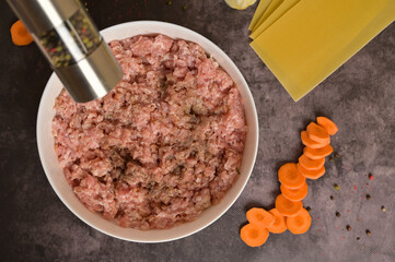 Top view raw ground minced meat in white bowl, pepper mill. Lasagne pasta sheets, carrot, pepper. Black background. Homemade lasagna cooking preparation
