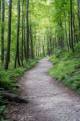 Naklejka premium Lush Green Forest Pathway Surrounded by Tall Trees and Vibrant Foliage : Generative AI