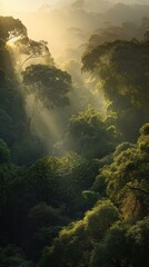 Obraz premium Mysterious Lush Green Jungle with Mist and Flying Birds in Tropical Rainforest 