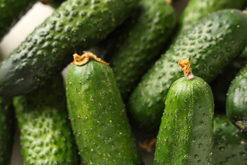 Fresh green cucumbers on white background, closeup