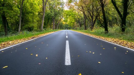Fototapeta premium Scenic countryside road lined with majestic trees amidst vibrant fall foliage creating a tranquil atmosphere : Generative AI