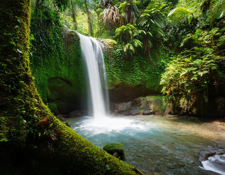 A secluded waterfall hidden in the depths of a tropical rainforest, revealing wonderment.