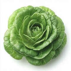Obraz premium Perfect food images for supermarket catalogs promotional brochures or price tags