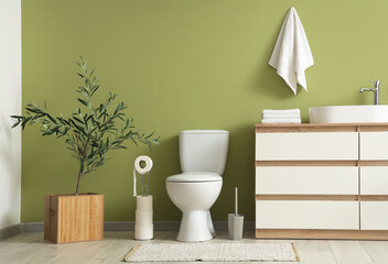 Interior of modern bathroom with big commode, toilet bowl and decorative olive tree