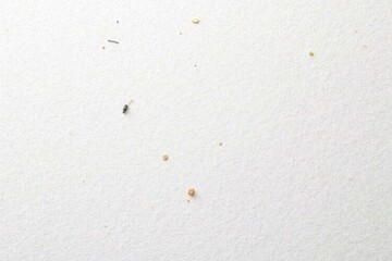 A close-up view of a textured white paper background with scattered pencil marks and eraser residue, stationery, sketching, paper texture