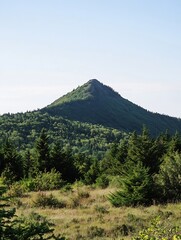 Beautiful Green Mountain Peak Surrounded by Lush Forest and Clear Blue Sky : Generative AI