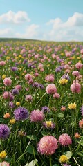 A vibrant field of wildflowers in various shades of pink, purple, and yellow, under a bright blue sky with fluffy clouds, creating a picturesque spring day atmosphere.
