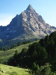 Majestic Mountain Peak Surrounded by Lush Green Forest and Clear Blue Sky : Generative AI