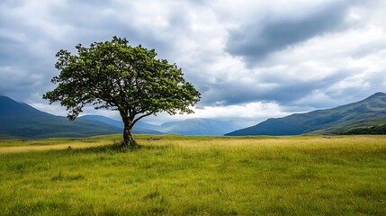Fototapeta premium Lone Green Tree Standing Proudly in an Expansive Pasture with Mountains in the Background : Generative AI