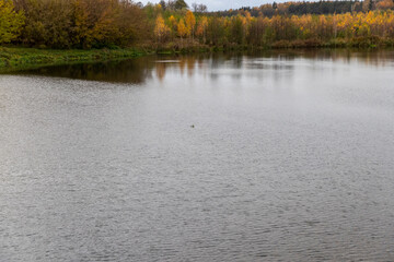 autumn landscape in cloudy weather with a lake and deciduous trees