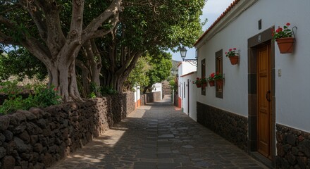 Obraz premium Charming Spanish Village Street with White Washed Buildings and Stone Path