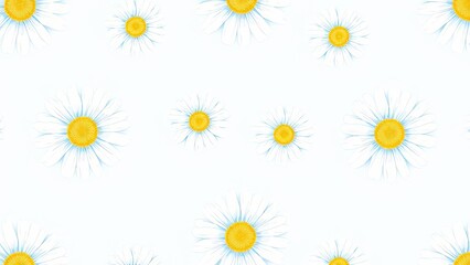 Obraz premium Seamless Pattern Delicate White Daisies Floral Design Botanical Background