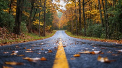 Fototapeta premium A serene autumn road scene with vibrant orange leaves scattered on a wet pathway, flanked by trees showcasing breathtaking fall colors