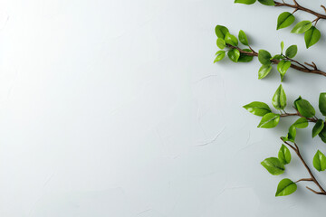 Bright green leaves arranged on a clean surface for artistic decoration