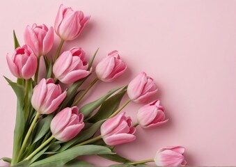 Obraz premium Pink Tulips on Pink Background with Copy Space for Business Design. Perfect for spring-themed business cards, website banners, feminine brand marketing materials.