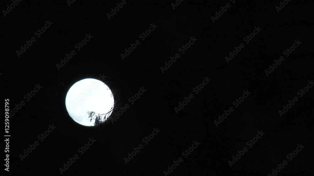 Poster close up on full moon shining bright on night sky with clouds passing and foreground tree, time laps
