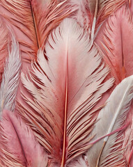 Patterns on bird feathers in airy pink tones with delicate frayed edges and soft textures