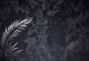 Obraz premium Delicate feathered outline against dark sky background, nature, bird silhouetted, birds