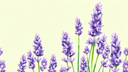 Naklejka premium Lavender Flowers Border Purple Floral Design Spring Blossom