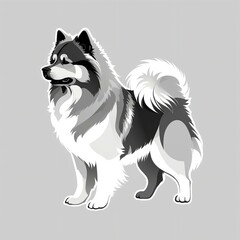 Fototapeta premium 胴は短く引き締まった体つきのキースホンド