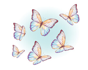 watercolor eastern tiger swallowtail yellow art design	