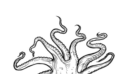 Octopus illustration. Tentacles of octopus, hand drawn collection of illustrations. Black and white engraving style drawings. Tentacle straight and with rings in different angles.