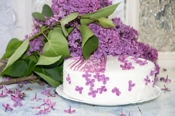 close up of still life with glazed cake and purple lilac flowers, table decorated with fresh spring flowers, charming mood for women's day march 8,