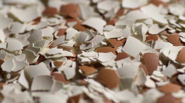 red and white eggshell pile, abstract background, texture