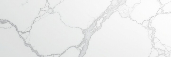 Panoramic view of white marble stone surface with intricate veining and subtle shading, white marble, texture, artistic value